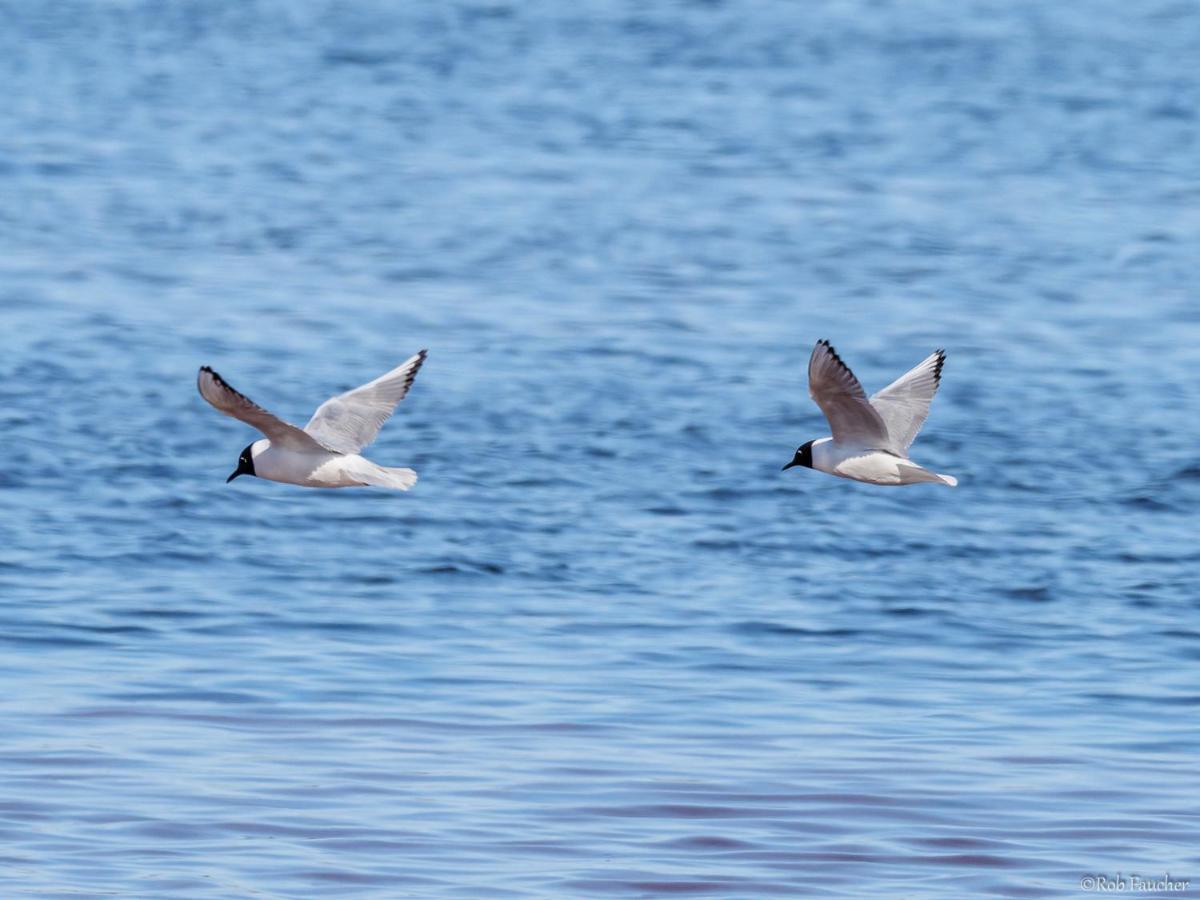 Hébergement de vacances Tracadie *
